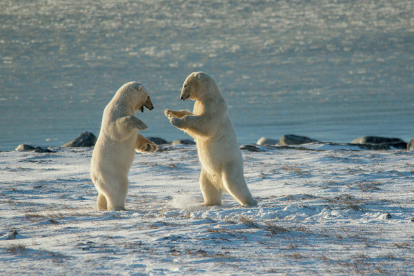 13638402_0_0_2481_1635_1000x659_80_0_0_f81247515b8d3f4be78bedf350c17d1e[1]